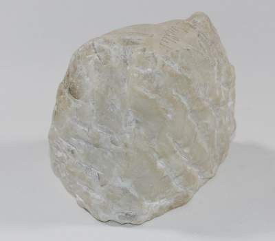 Bild Nr.2: 121-3269 Gallet, Louis Jacques: (Künstlergraphik, Skulpturen - Plastiken)