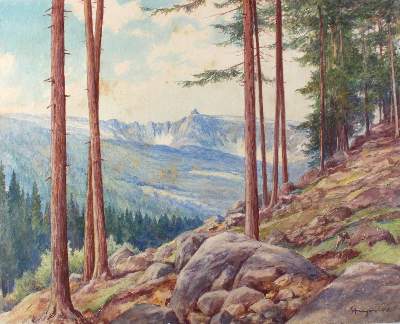 Bild Nr.2: 121-3329 Stryn (?): (Künstlergraphik)