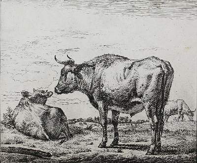 Bild Nr.1: 121-3388 Velde, Adriaen van de: (Künstlergraphik)