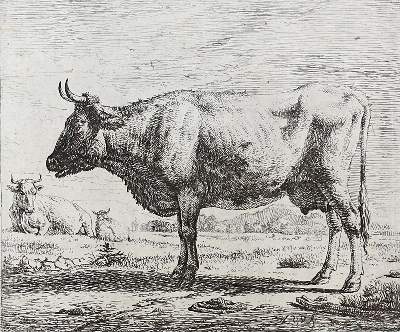 Bild Nr.2: 121-3388 Velde, Adriaen van de: (Künstlergraphik)