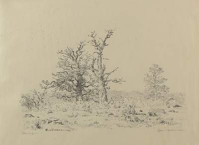 Bild Nr.1: 121-3398 Volkmann, Hans Richard von: (Künstlergraphik)