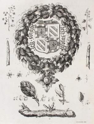 Bild Nr.2: 121-469 Leopoldt,J.G.: (Küche und Haushalt, Getränke, Bier)