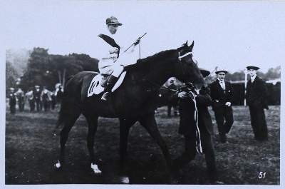 Bild Nr.1: 121-495 Walburg 1890-1940: (Land- und Forstwirtschaft, Tierhaltung, Pferde)