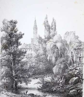 Bild Nr.21: 121-518 Cancelliere,F.: (Kunstwissenschaft)