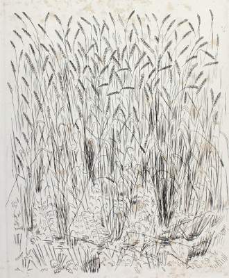 Bild Nr.1: 121-748 Vergilius Maro,P.: (Dunoyer de Segonzac)