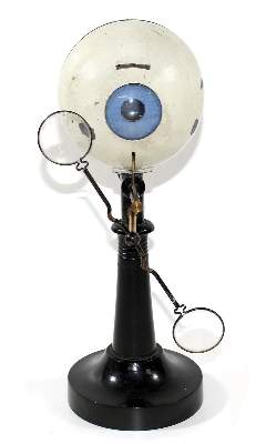 Bild Nr.1: 121-930 Auge Funktionsmodell 19.Jh.: (Medizin)