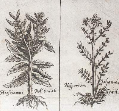 Bild Nr.2: 121-958 Schröder,J.: (Medizin)