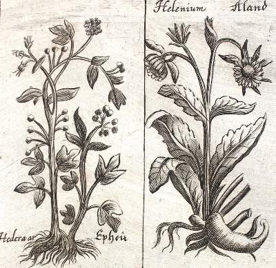 Bild Nr.3: 121-958 Schröder,J.: (Medizin)
