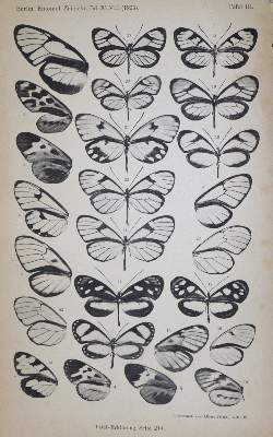 Bild Nr.1: 121-969 Berliner entomologische Zeitschrift.: (Zoologie, Insekten)
