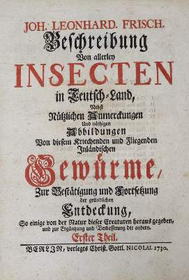 Bild Nr.1: 121-970 Frisch,J.L.: (Zoologie, Insekten)