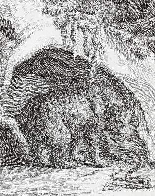 Bild Nr.2: 121-972 Ridinger,J.E.: (Zoologie)
