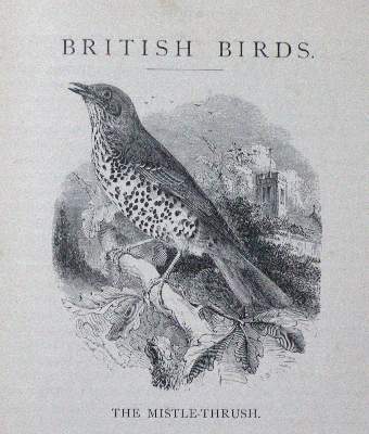 Bild Nr.1: 121-975 Sammlung: (Zoologie, Vögel)