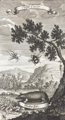 Bild Nr.1: 121-978 Acxtelmeier,S.R.: (Verschiedene Gebiete - Varia)