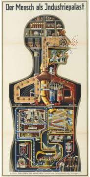 Bild Nr.1: 121-980 Kahn,F.: (Verschiedene Gebiete - Varia, Anthropologie)