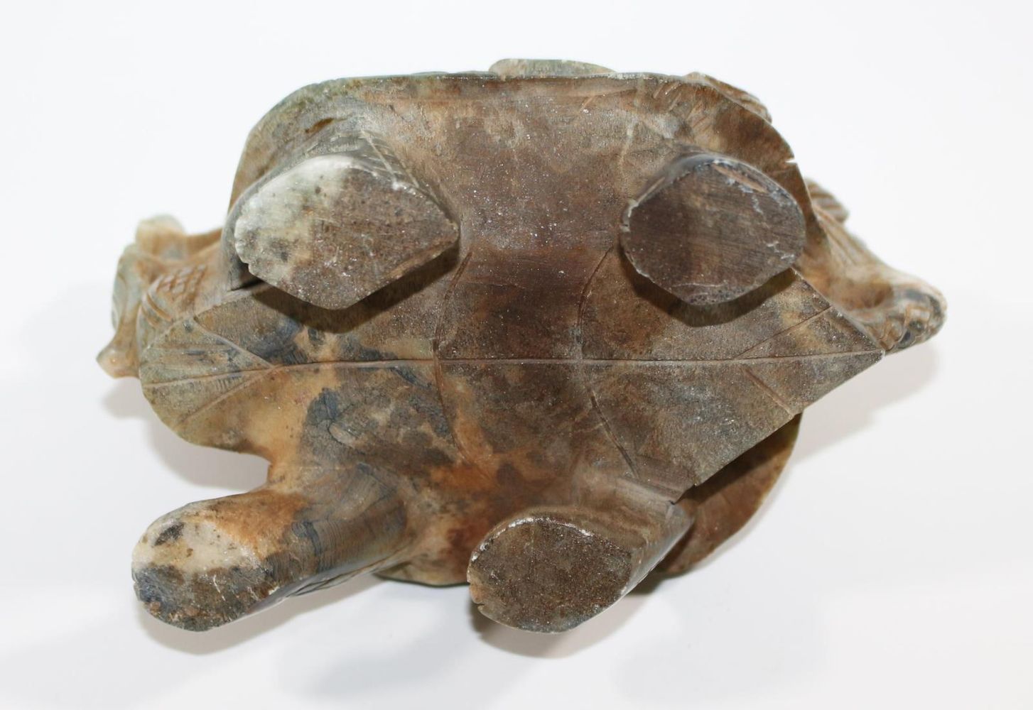 Große Abbildung Nr.4: 122-1453 Longgui die Drachenschildkröte: (Asiatika)