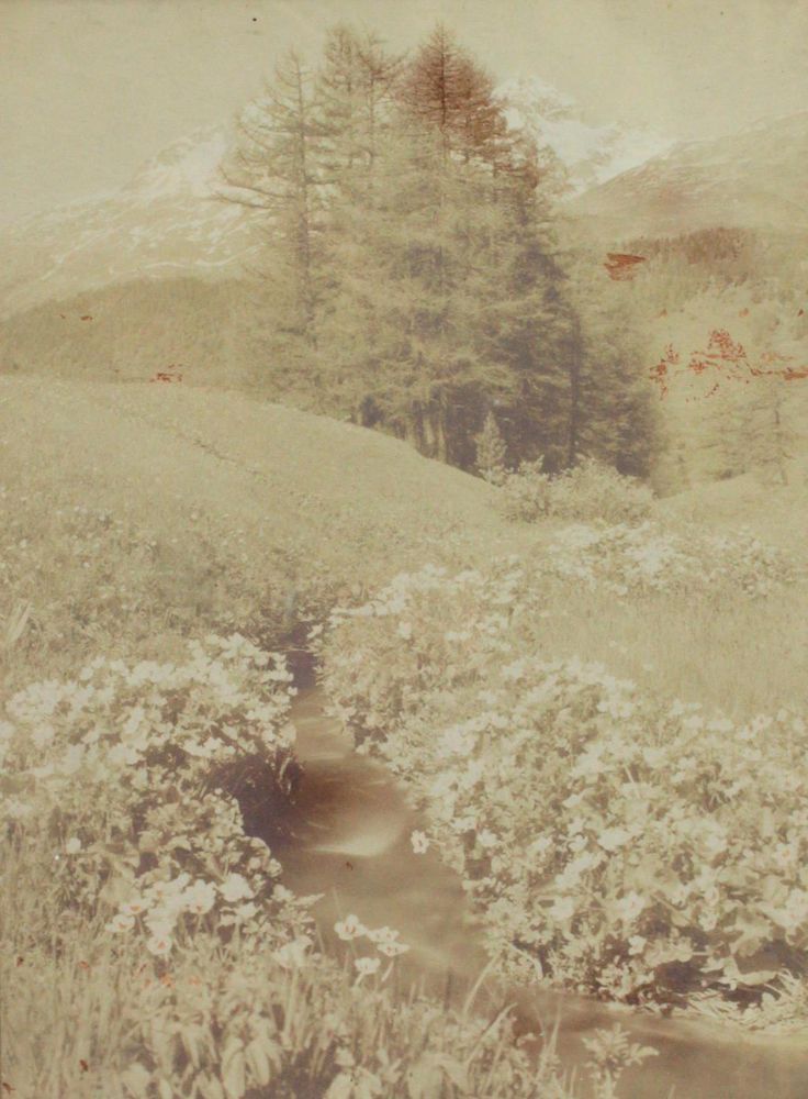 Große Abbildung Nr.3: 122-1706 St.Moritz.: (Alpen und Alpinismus)