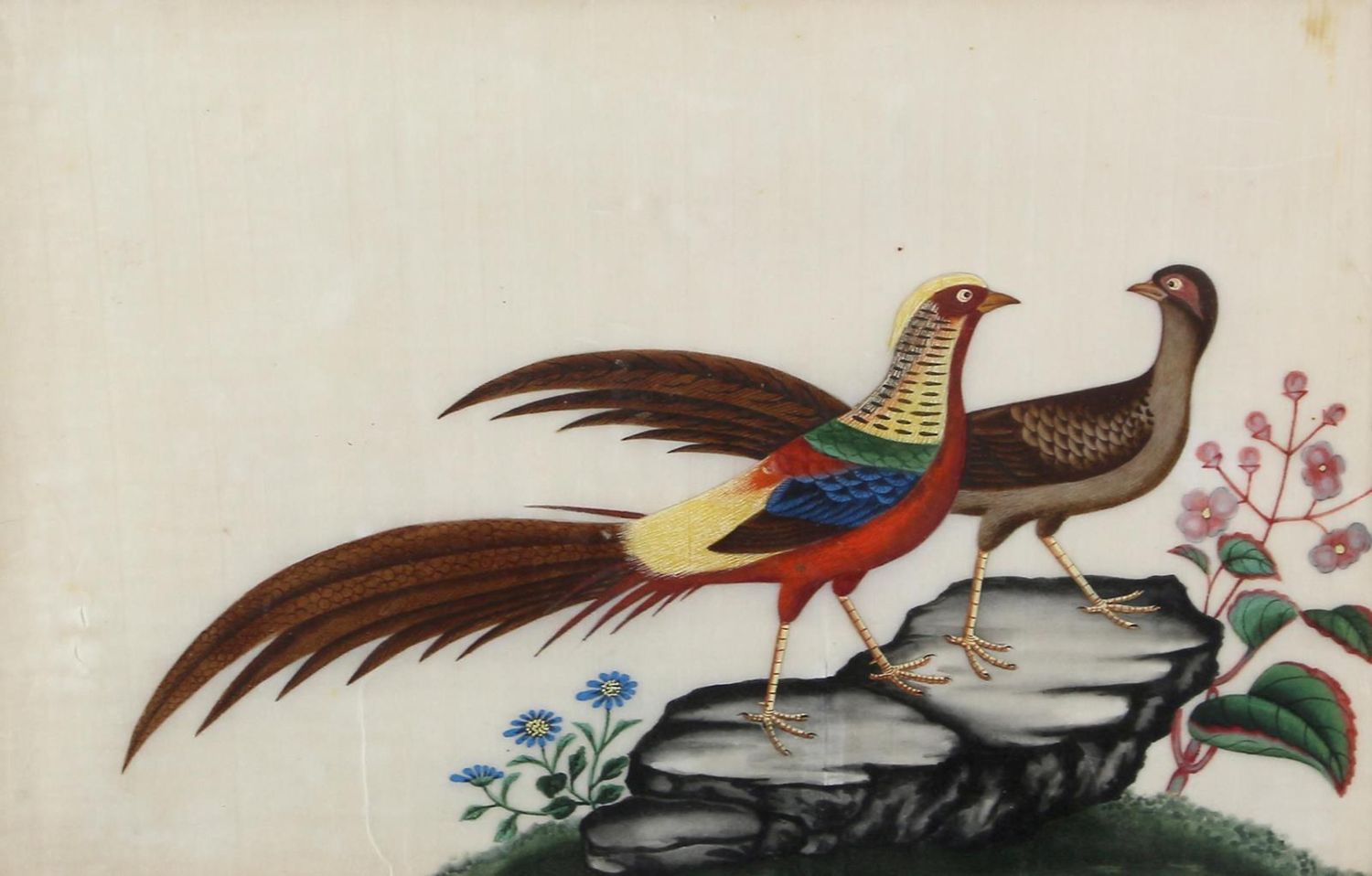 Große Abbildung Nr.1: 122-1760 Goldfasan: (Varia, China)