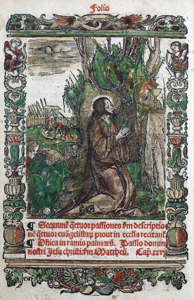 Große Abbildung Nr.1: 122-177 (Hortulus animae: (Alte Drucke, Handschriften und Theologie)