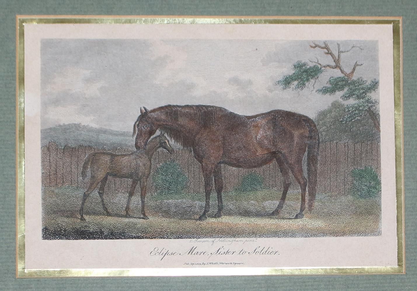 Große Abbildung Nr.3: 122-1787 Pferde und Jagd.: (Varia, Jagd)