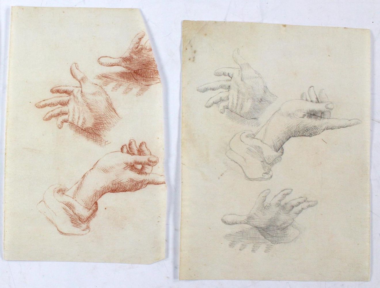Große Abbildung Nr.2: 122-1824 Anatomische Studien.: (Varia, Medizin)