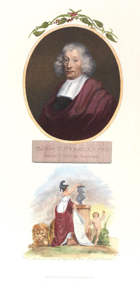 Große Abbildung Nr.1: 122-1862 John Ray.: (Varia, Portrait, Holl)