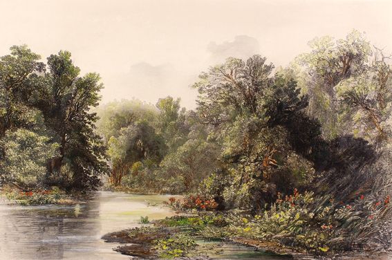 Große Abbildung Nr.1: 122-2025 Bodmer, Karl.: (Ausland, Amerika)