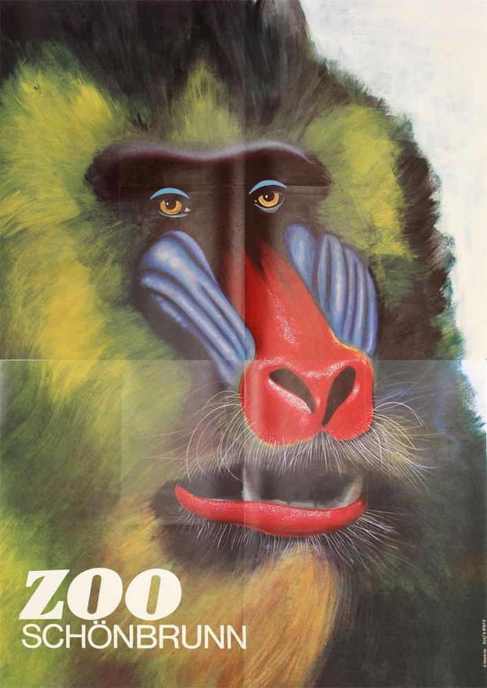 Große Abbildung Nr.31: 122-2276 Tiergarten Schönbrunn.: (Plakate, Zoologie)