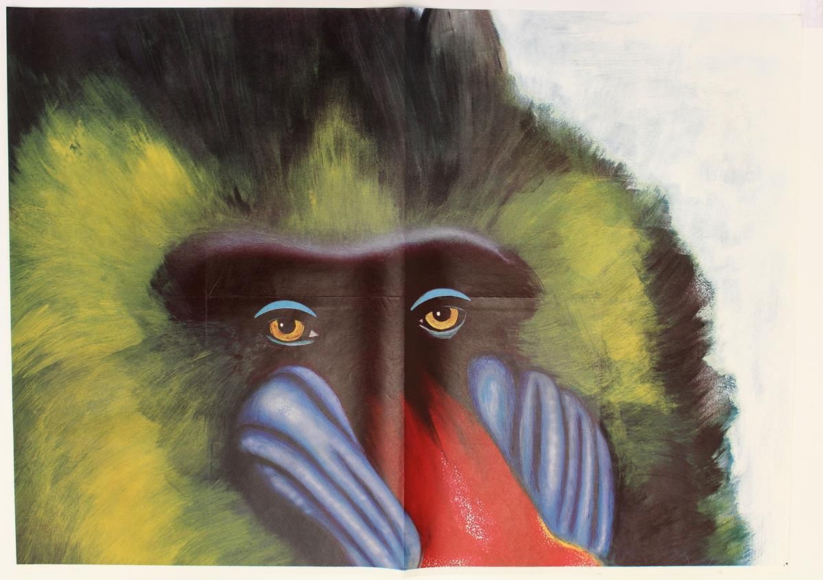 Große Abbildung Nr.32: 122-2276 Tiergarten Schönbrunn.: (Plakate, Zoologie)