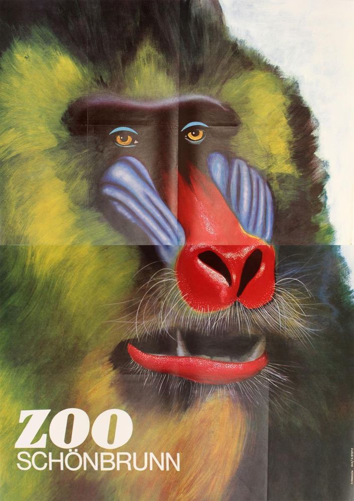 Große Abbildung Nr.81: 122-2276 Tiergarten Schönbrunn.: (Plakate, Zoologie)