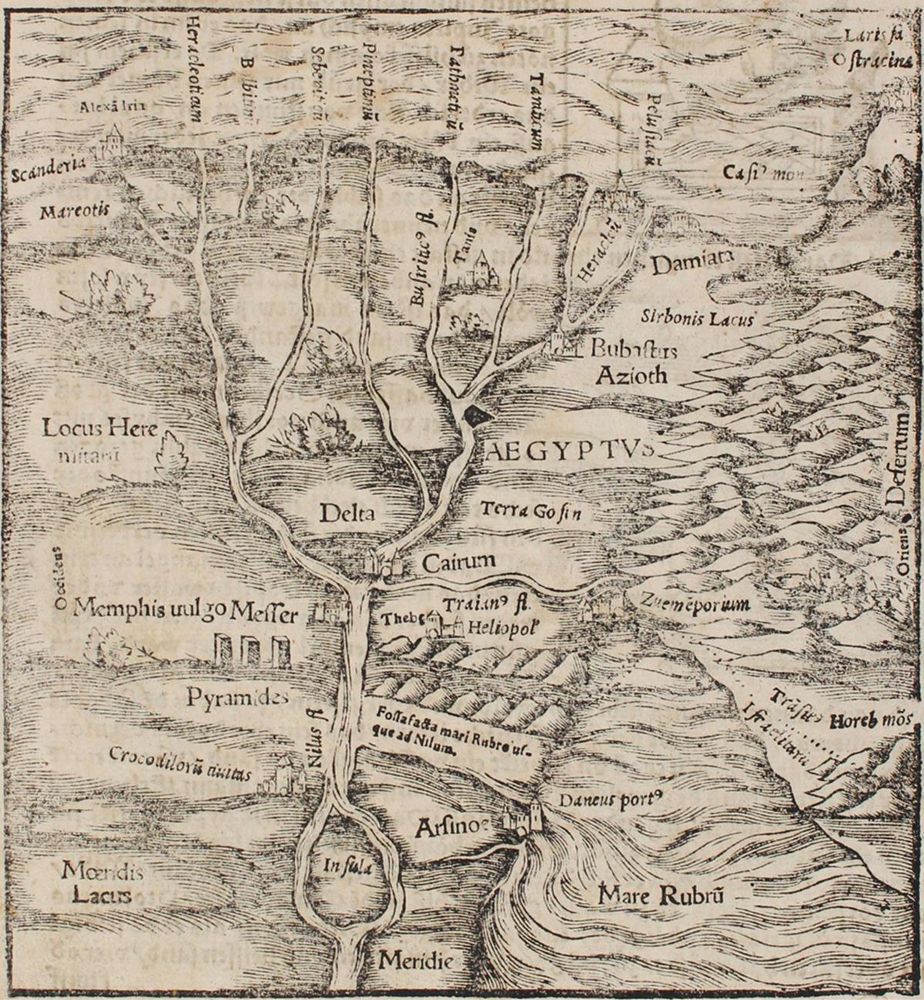 Große Abbildung Nr.1: 122-243 Münster,S.: (Alte Drucke, Handschriften und Theologie)