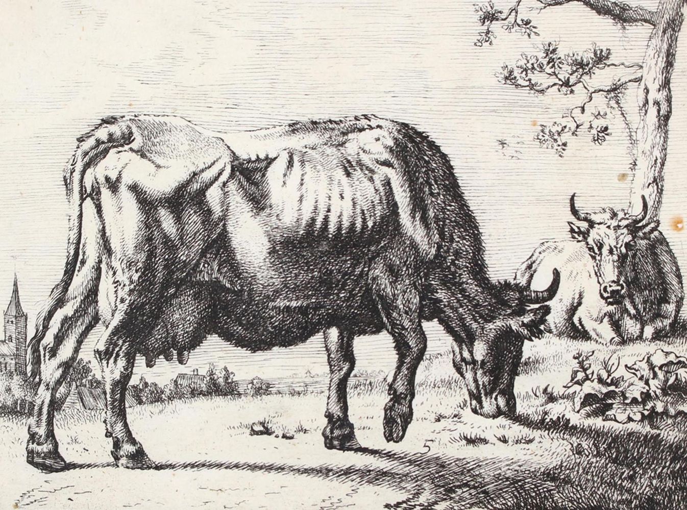 Große Abbildung Nr.1: 122-2442 Bye, Marcus de: (Künstlergraphik)