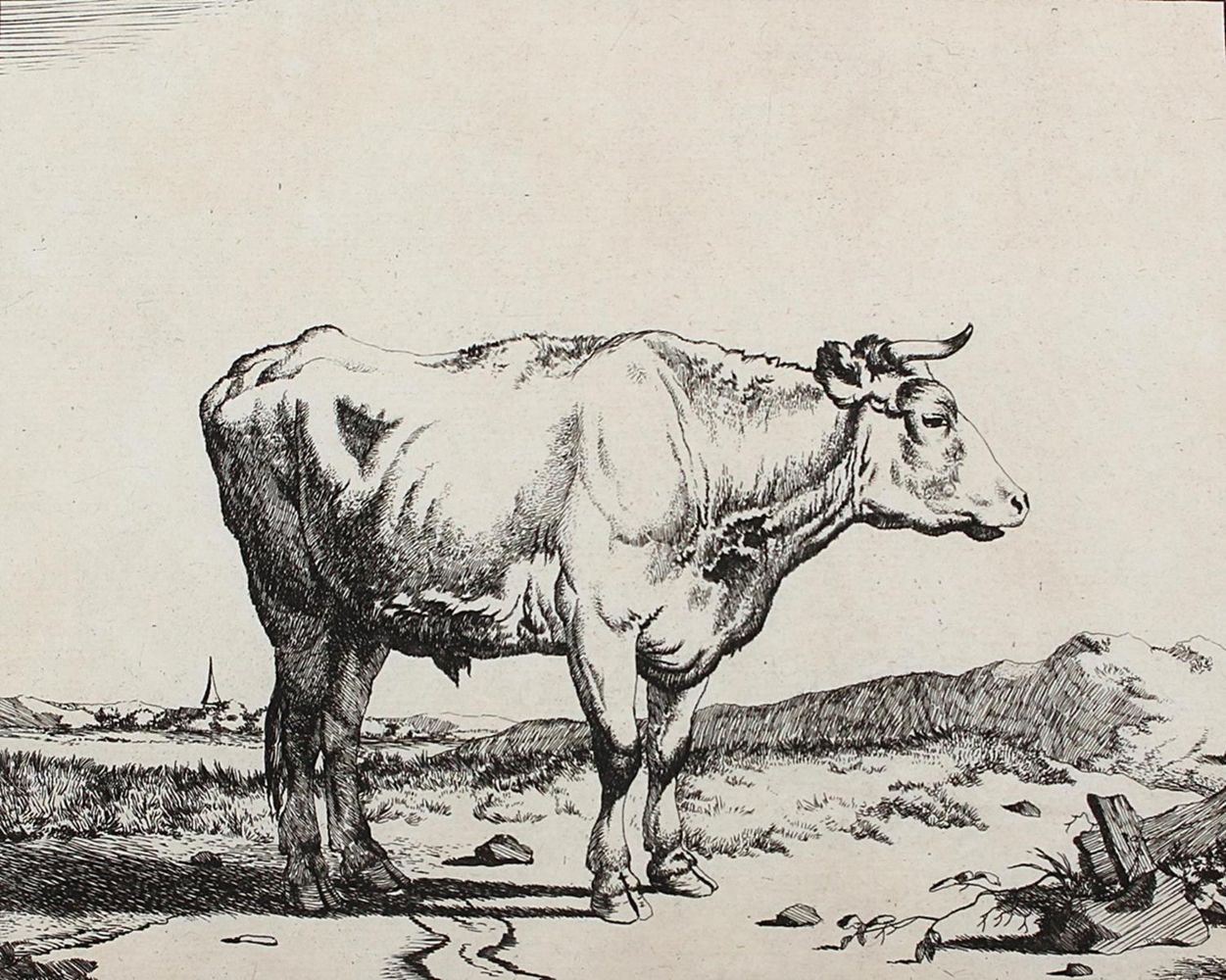 Große Abbildung Nr.4: 122-2442 Bye, Marcus de: (Künstlergraphik)