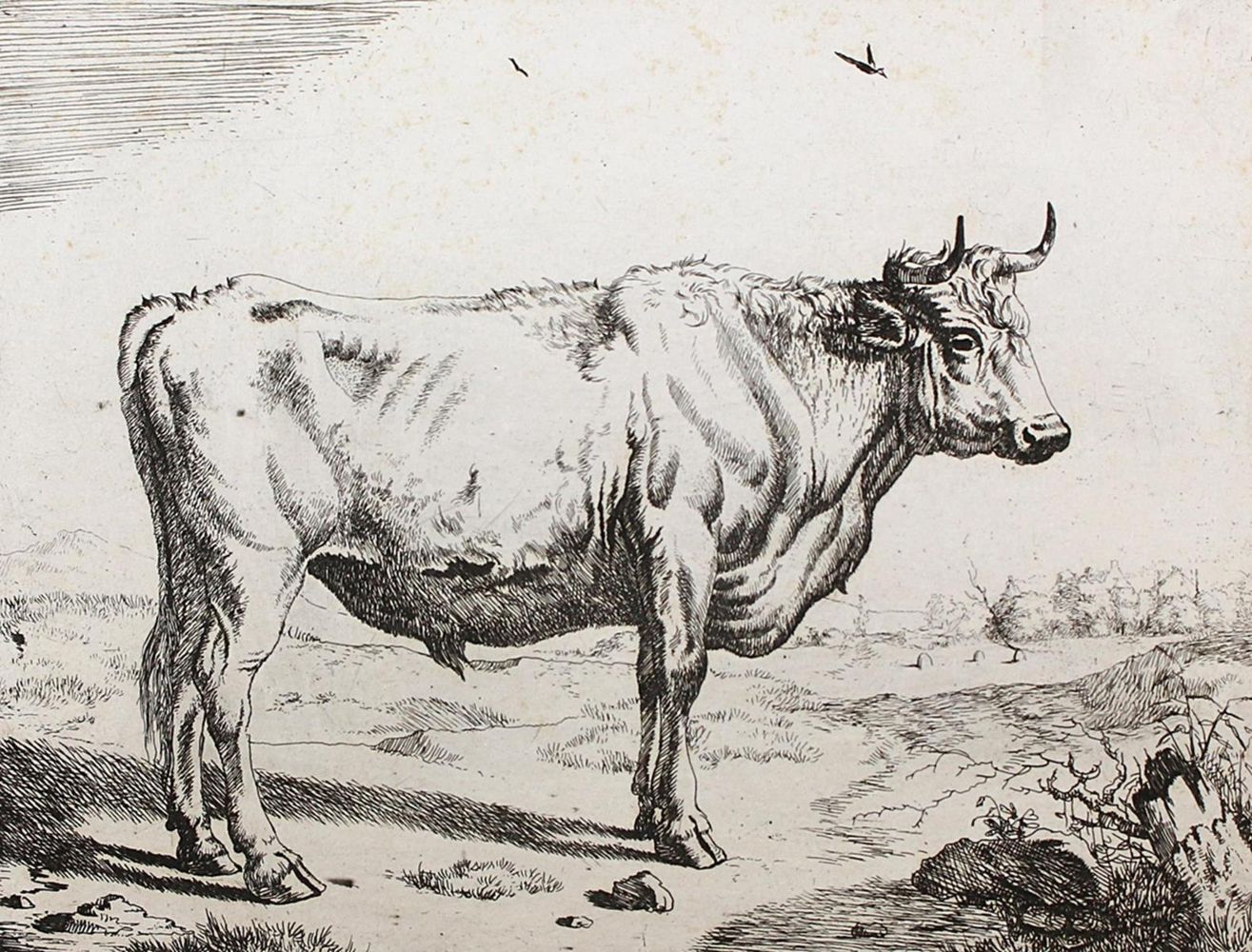 Große Abbildung Nr.8: 122-2442 Bye, Marcus de: (Künstlergraphik)