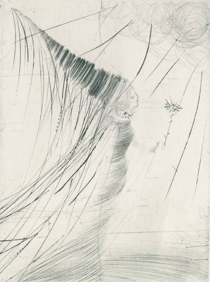 Große Abbildung Nr.2: 122-2541 Ronsard,P.de.: (Künstlergraphik, Dali, 18 (10 ganzs.) Radierungen von S.Dali.)