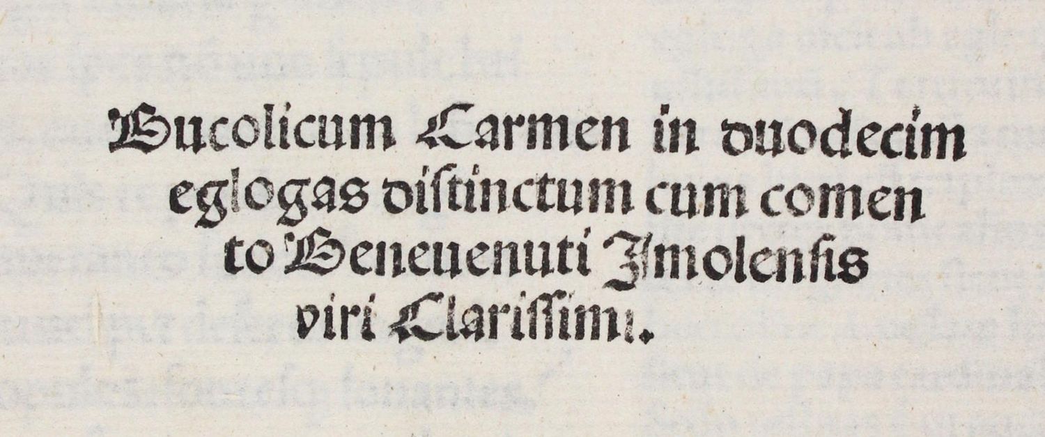 Große Abbildung Nr.2: 122-259 Petrarca,F.: (Alte Drucke, Handschriften und Theologie)