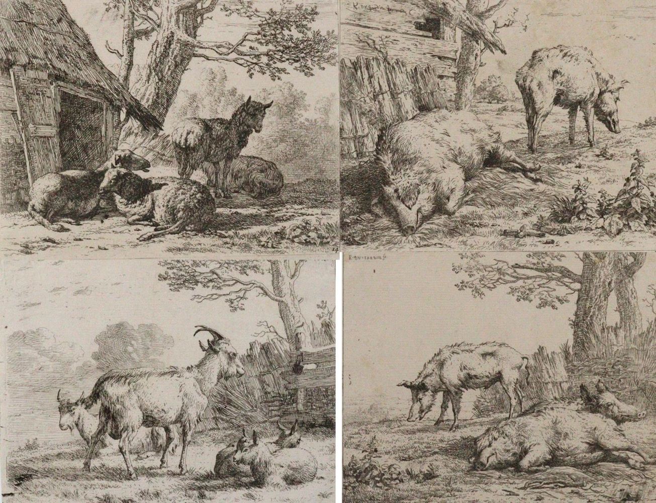 Große Abbildung Nr.1: 122-2601 Dujardin, Karel: (Künstlergraphik)