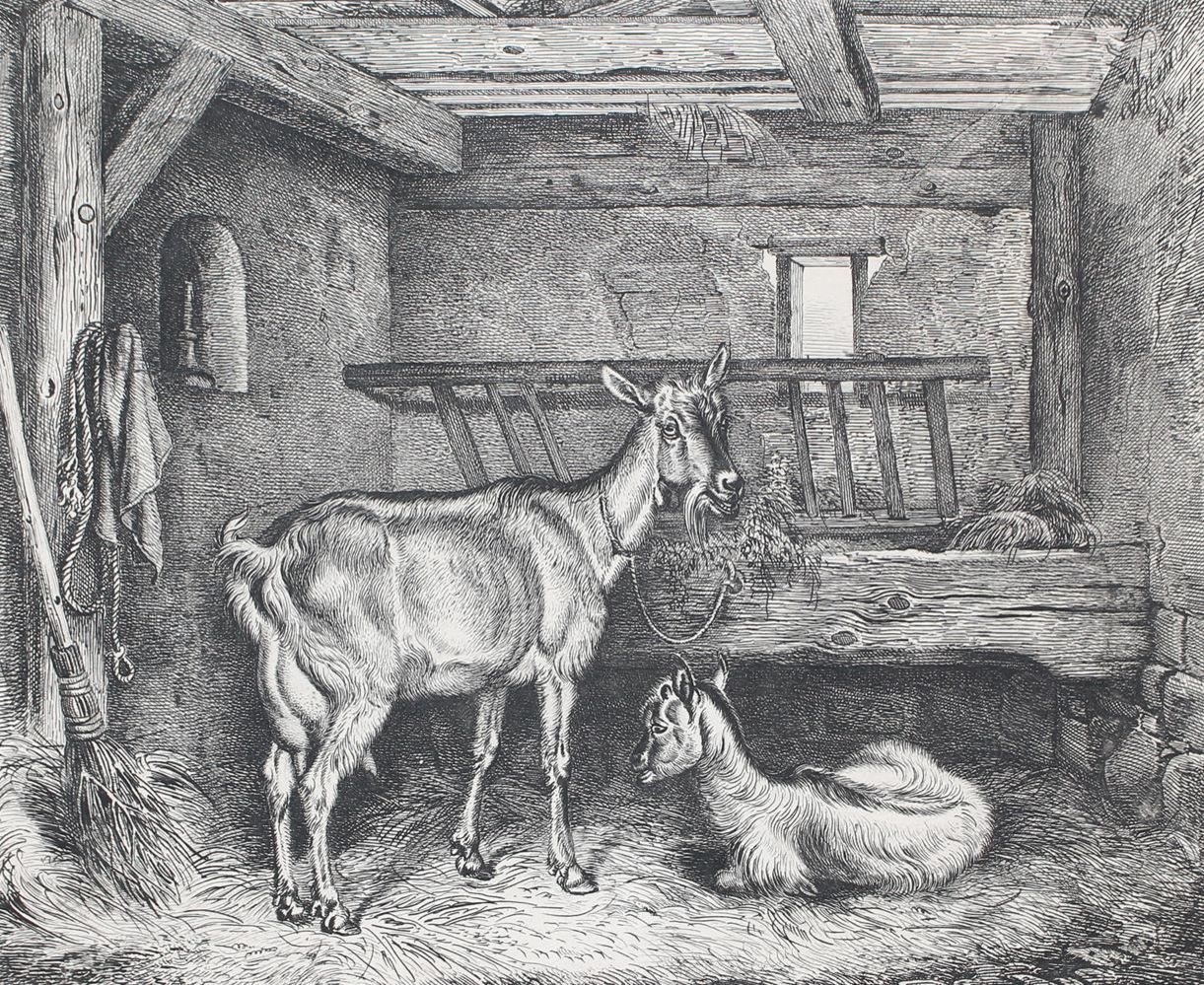Große Abbildung Nr.1: 122-3049 Klein, Johann Adam.: (Künstlergraphik)