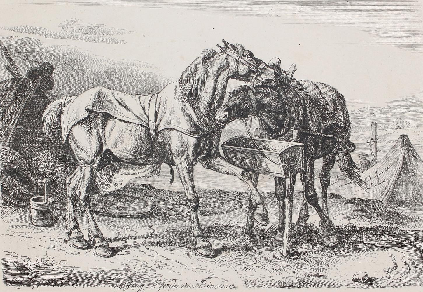 Große Abbildung Nr.1: 122-3050 Klein, Johann Adam: (Künstlergraphik)