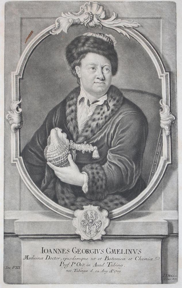 Große Abbildung Nr.1: 122-3137 Konvolut: (Künstlergraphik)