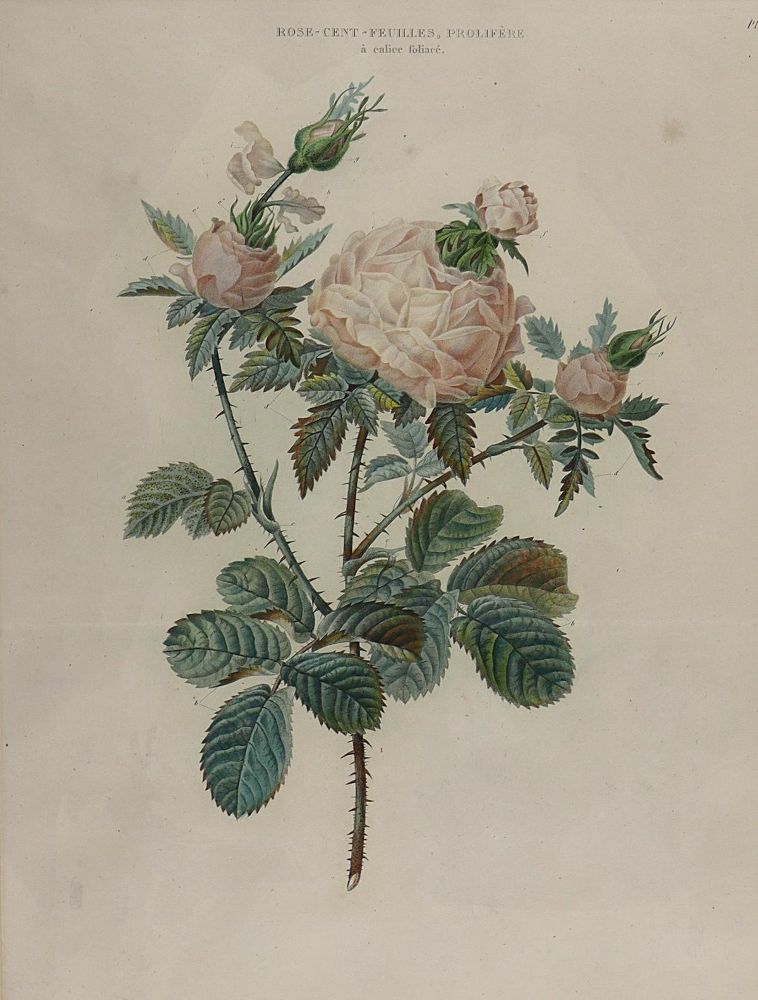 Große Abbildung Nr.1: 122-3177 Langlois: (Künstlergraphik)