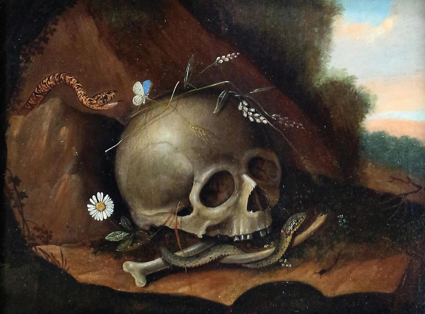 Große Abbildung Nr.1: 122-3635 Schrieck, Otto Marseus van ("de Snuffelaer"): (Künstlergraphik)