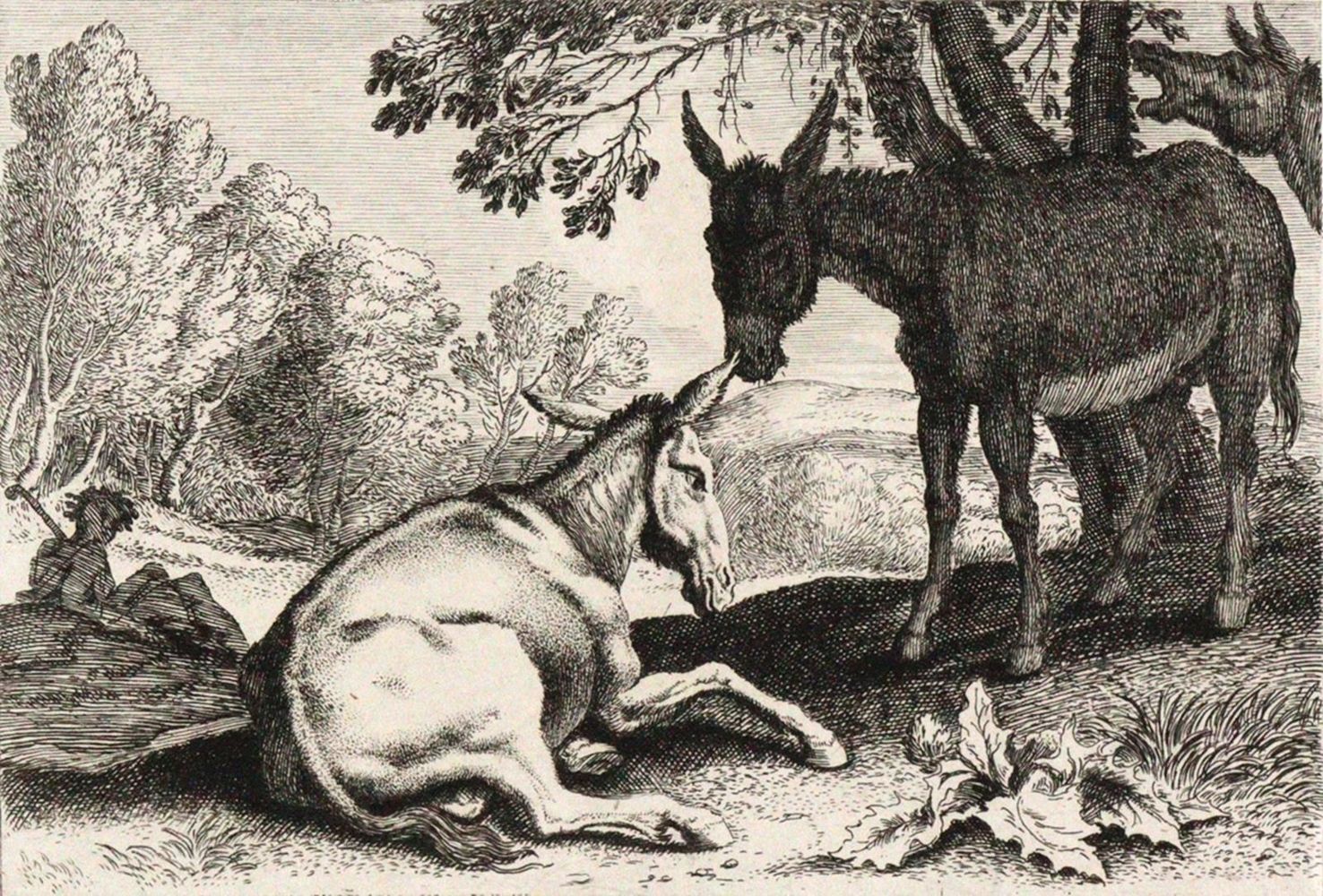 Große Abbildung Nr.1: 122-3732 Swanefelt, Hermann (Herman D'Italie).: (Künstlergraphik)