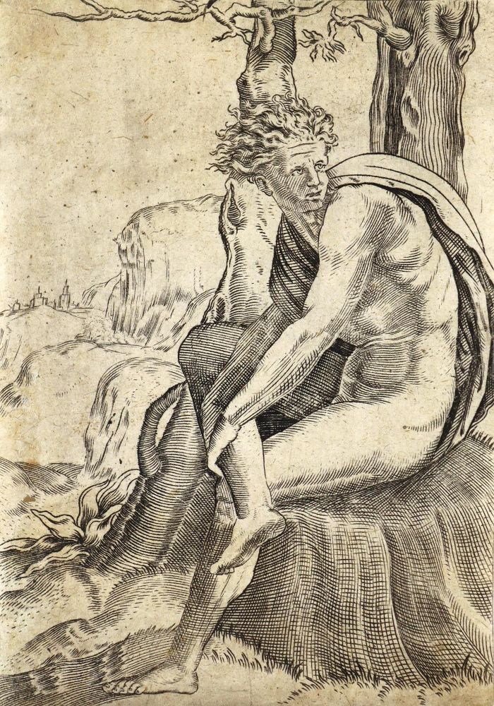 Große Abbildung Nr.1: 122-3840 Veneziano, Agostino (d.i. A. dei Musi,: (Künstlergraphik)