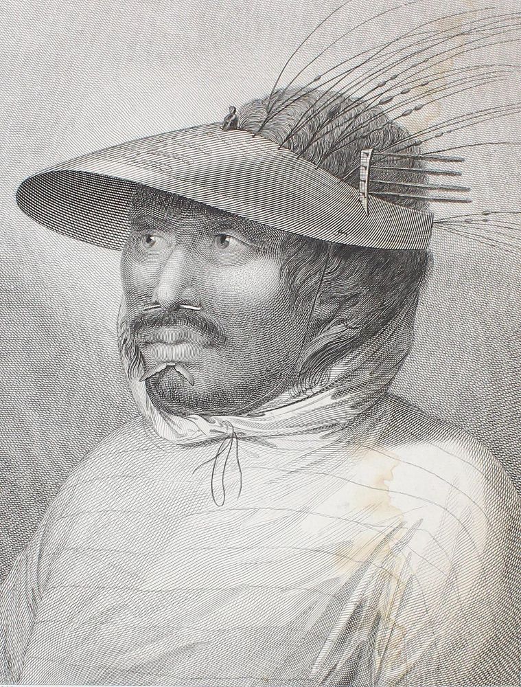 Große Abbildung Nr.1: 122-3880 Webber, John: (Künstlergraphik)
