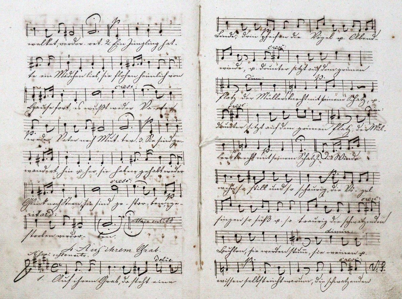 Große Abbildung Nr.1: 122-408 Papst,W.: (Musik, Handschriften)