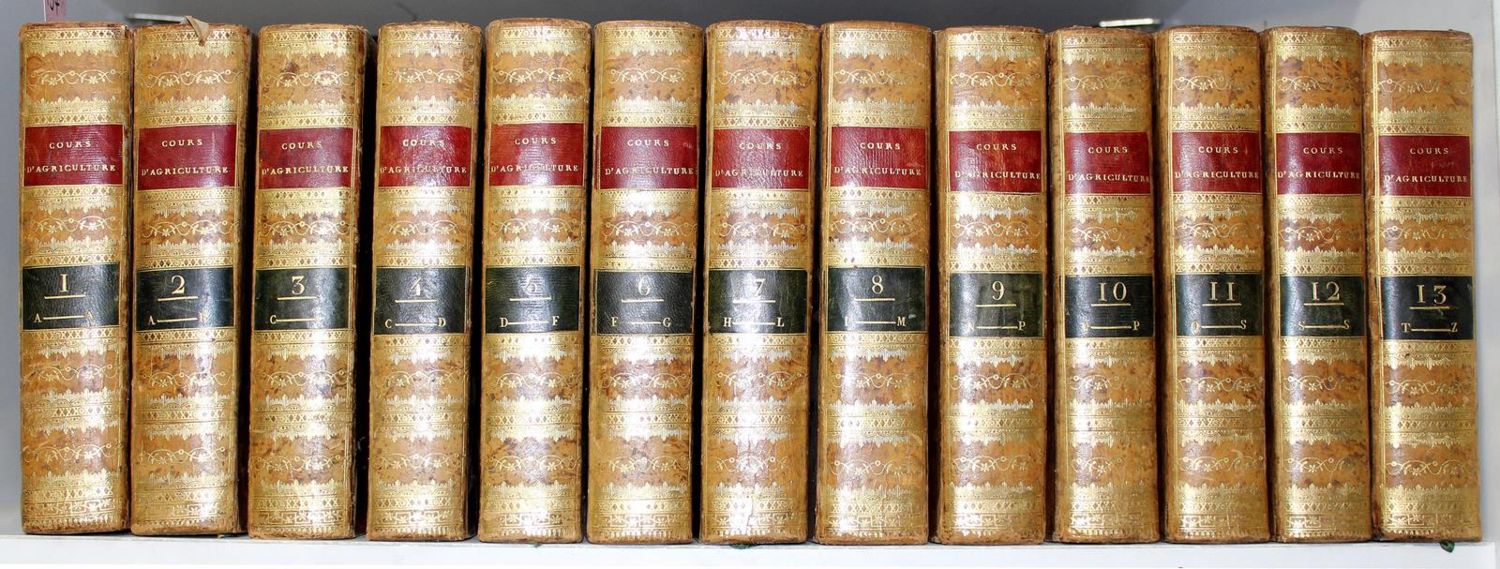 Große Abbildung Nr.1: 122-494 (Rozier,F.).: (Land- und Forstwirtschaft, Landwirtschaft)