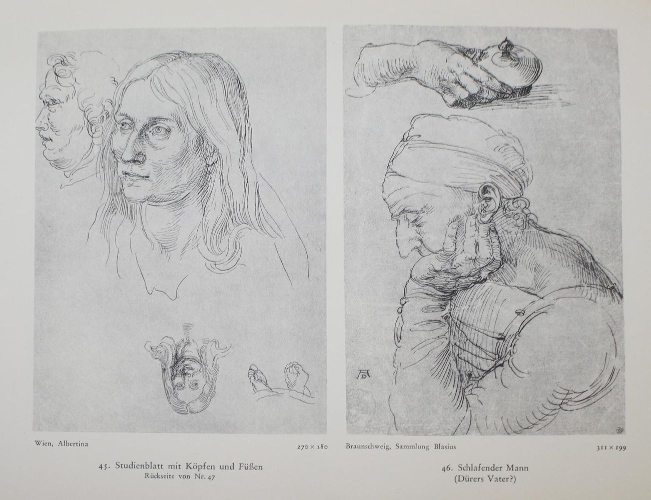 Große Abbildung Nr.1: 122-521 Winkler,F.: (Dürer)