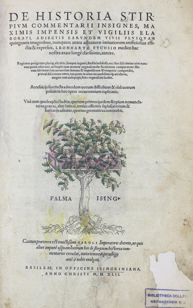 Große Abbildung Nr.4: 122-585 Fuchs,L.: (Faksimile)