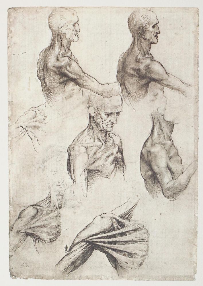 Große Abbildung Nr.1: 122-588 Leonardo da Vinci.: (Faksimile)