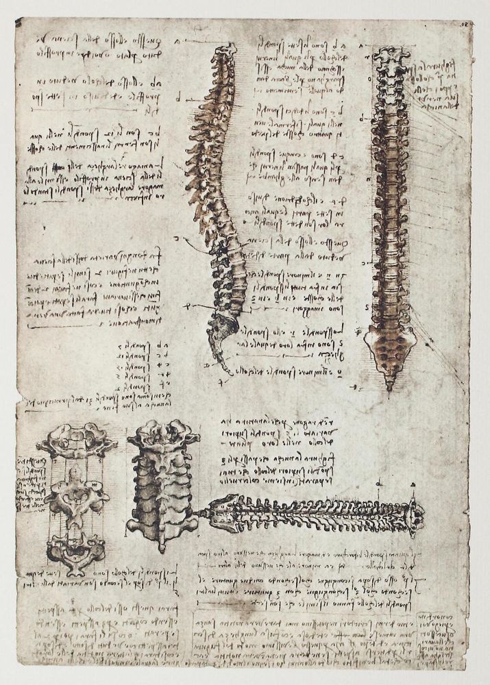 Große Abbildung Nr.2: 122-588 Leonardo da Vinci.: (Faksimile)